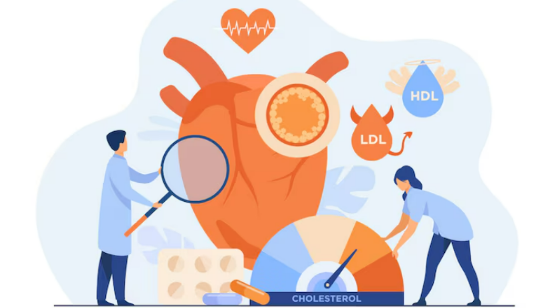 Colesterol alto | Dra. Wanessa Bordin